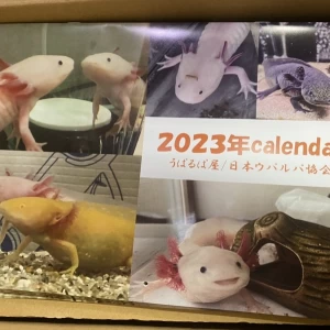 うぱるぱ屋オリジナルカレンダー　2023年　